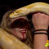 31.10.2017 Schelloween Bilder von Lothar